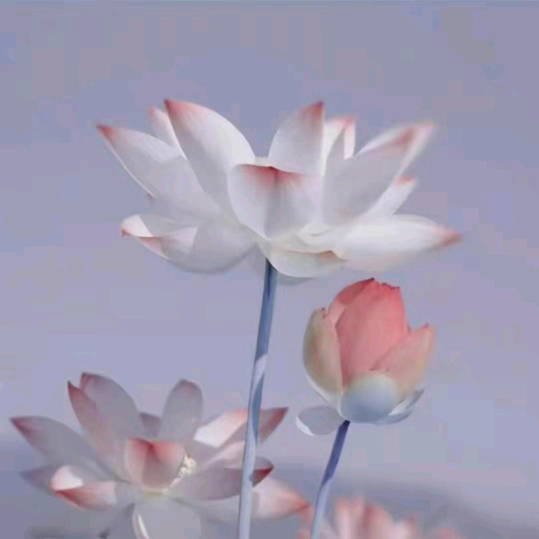 小汉堡