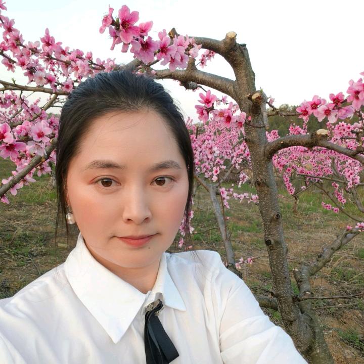 蓝玫瑰