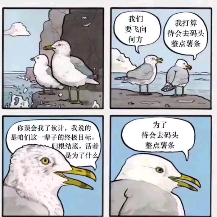 赵宽鹏