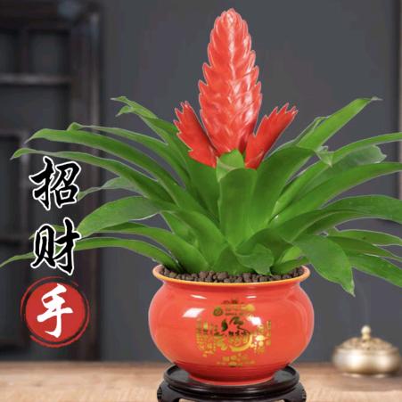 绣花朵朵店