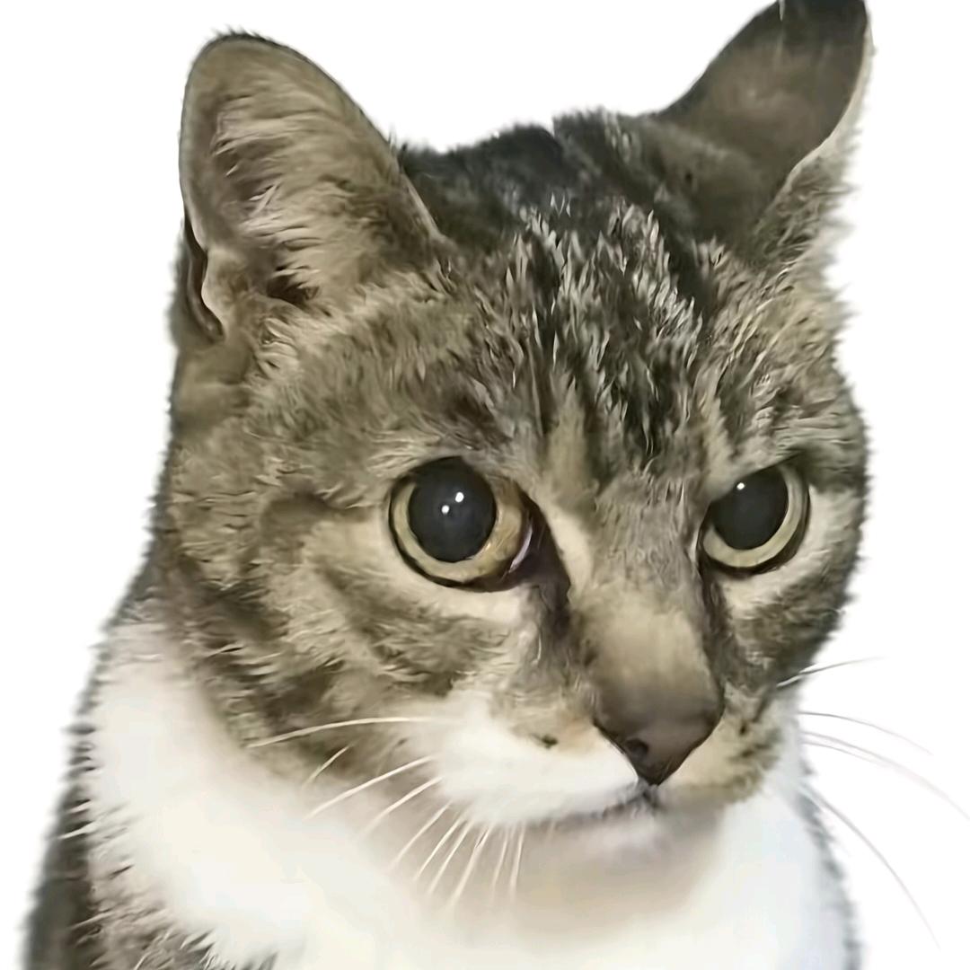 江西网友常小闯