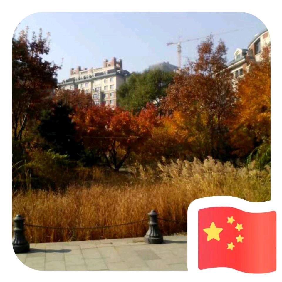 山东李哥