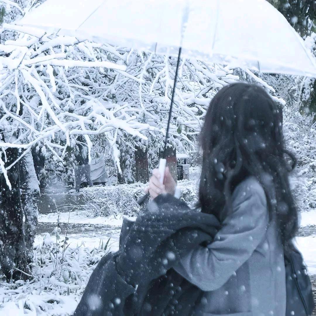 鹿屿白雪