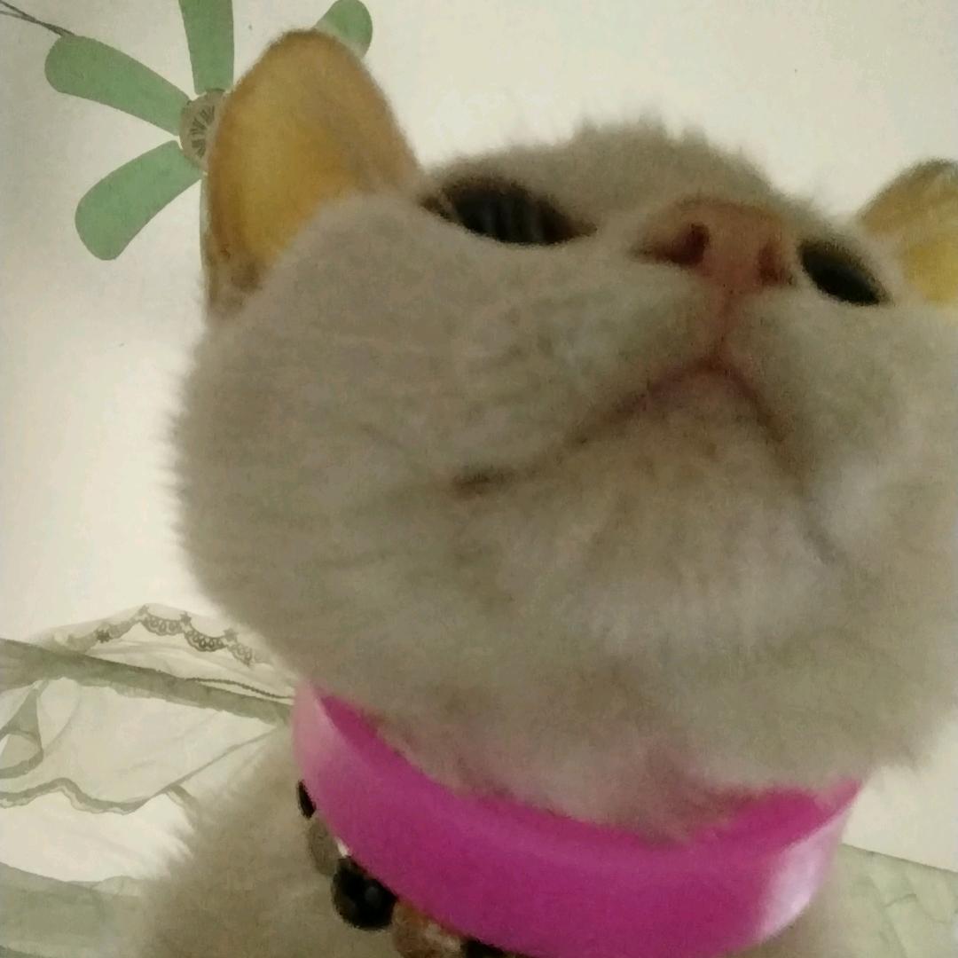 Liuniverse