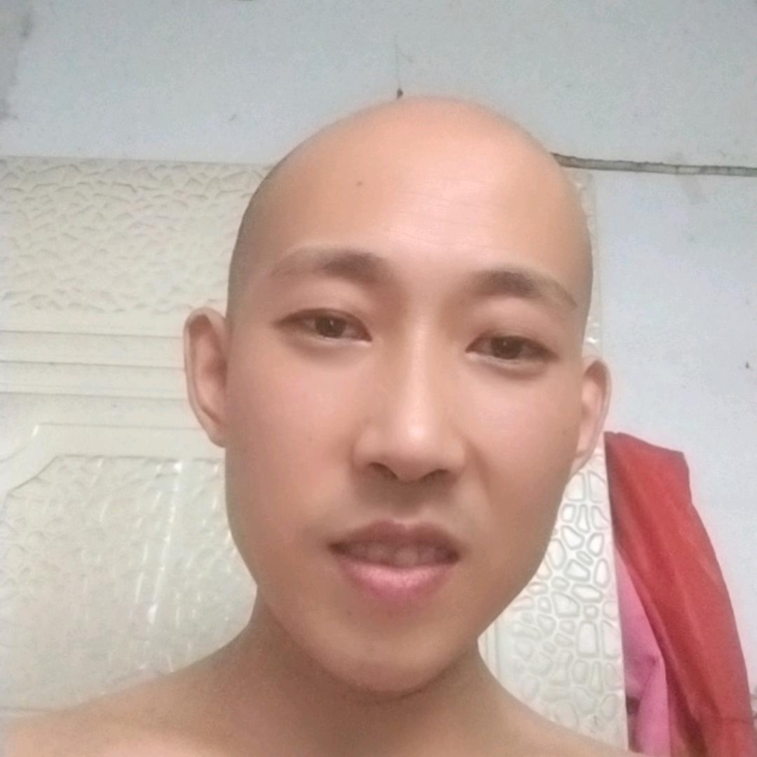 木木人生