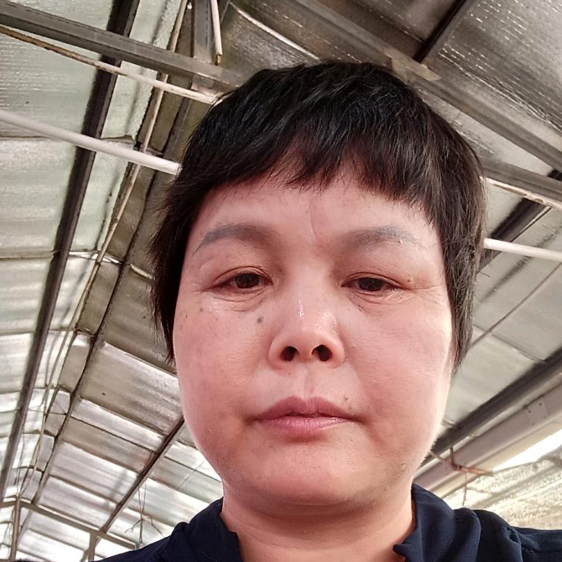 落玖