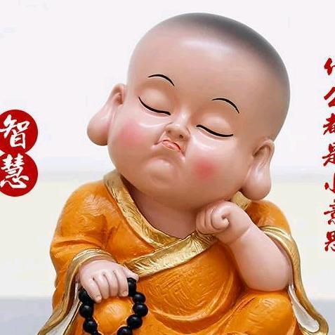 金牌星壁挂炉