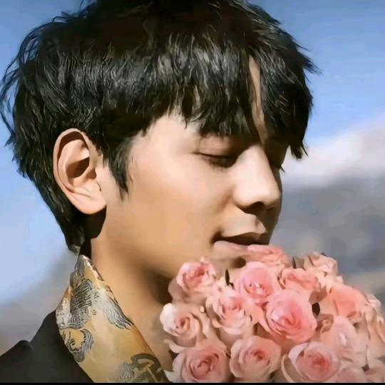 不抽香烟（烤烟版）