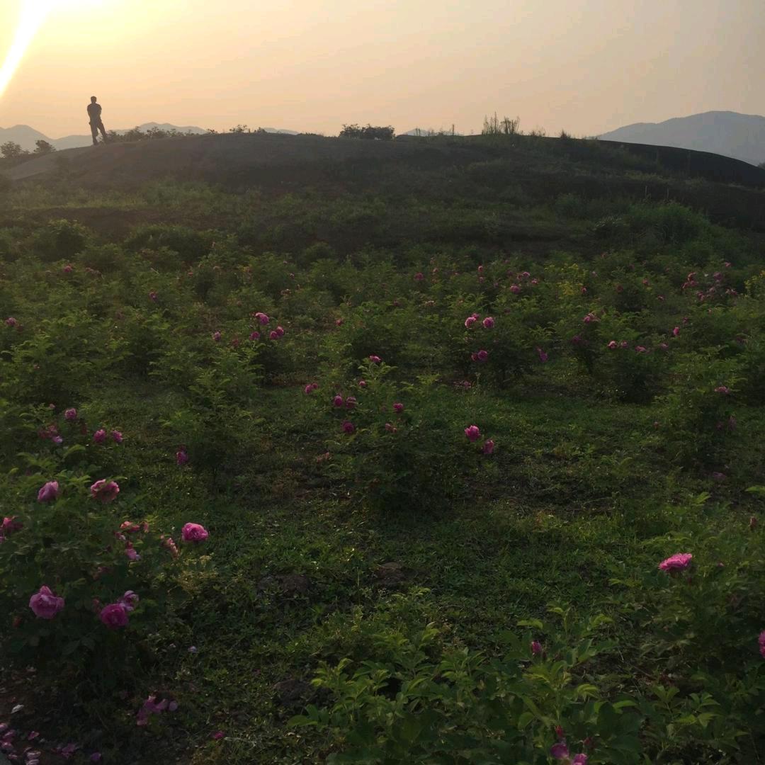 ᨶ႒ᩚ心如磐石👂