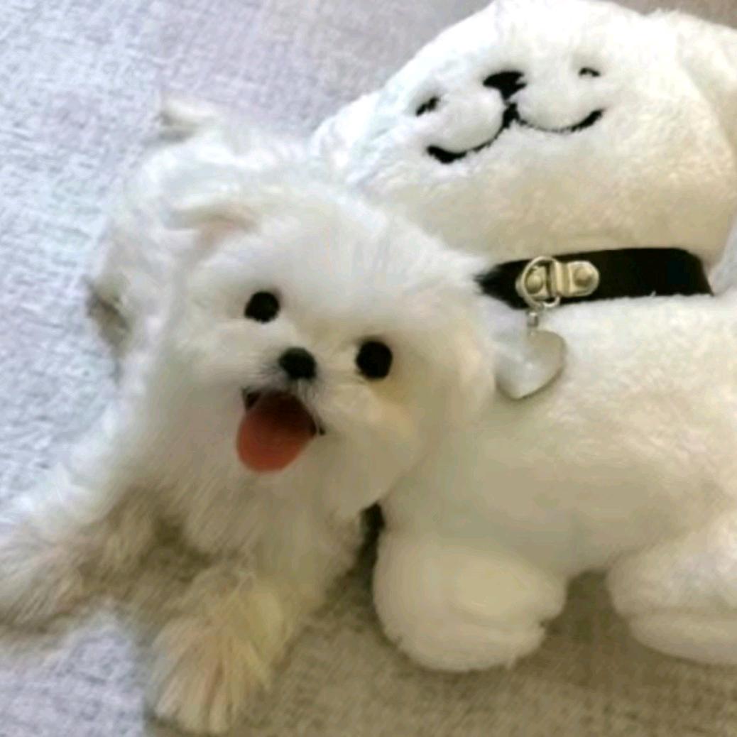 卖香烟的小姐姐