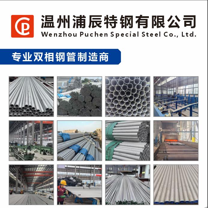 温州浦辰特钢有限公司 陈玉明