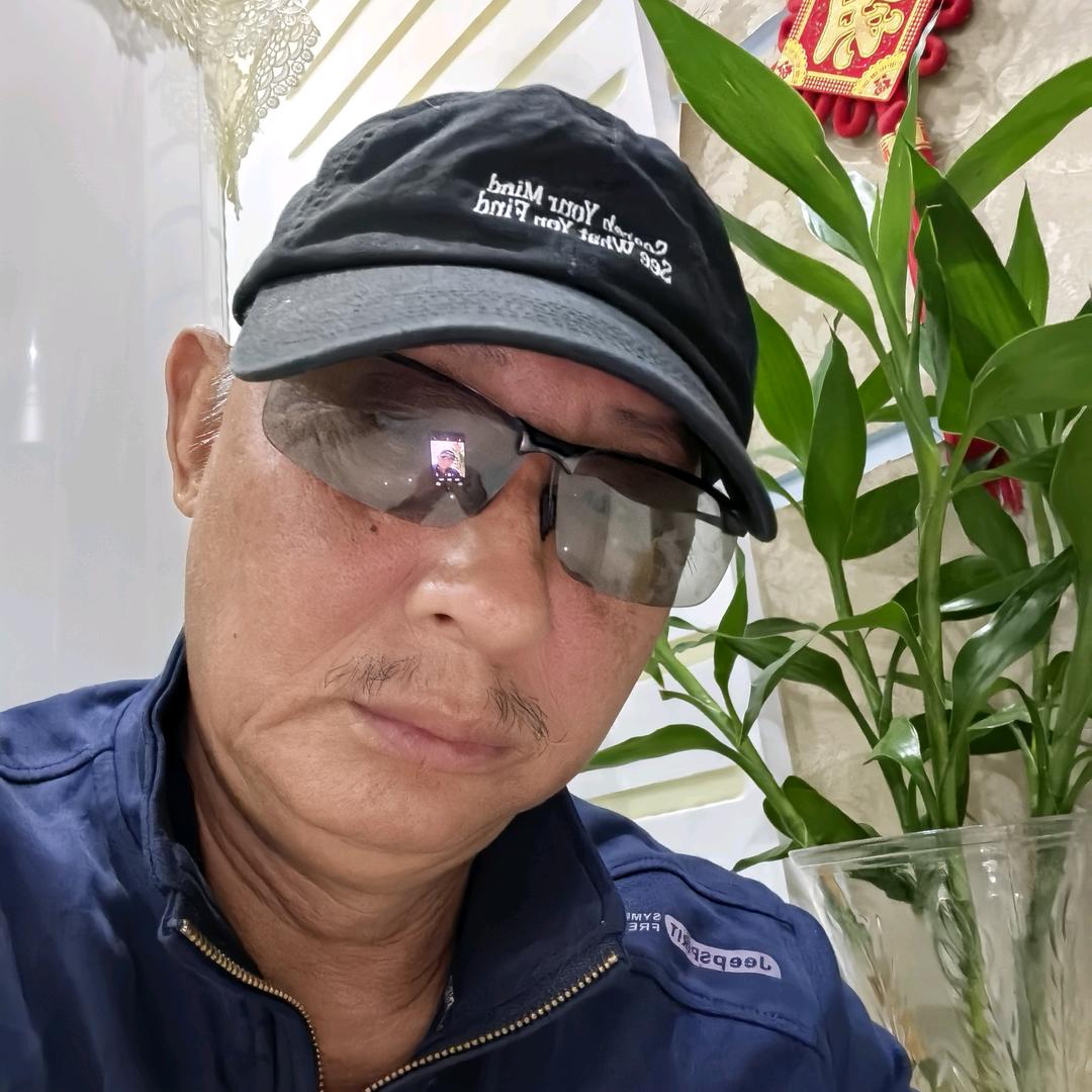 秦氏公司
