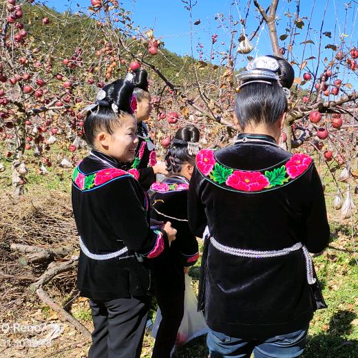 高原丑苹果之家
