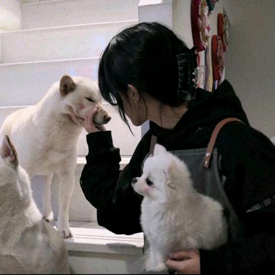 不太爱吃鱼