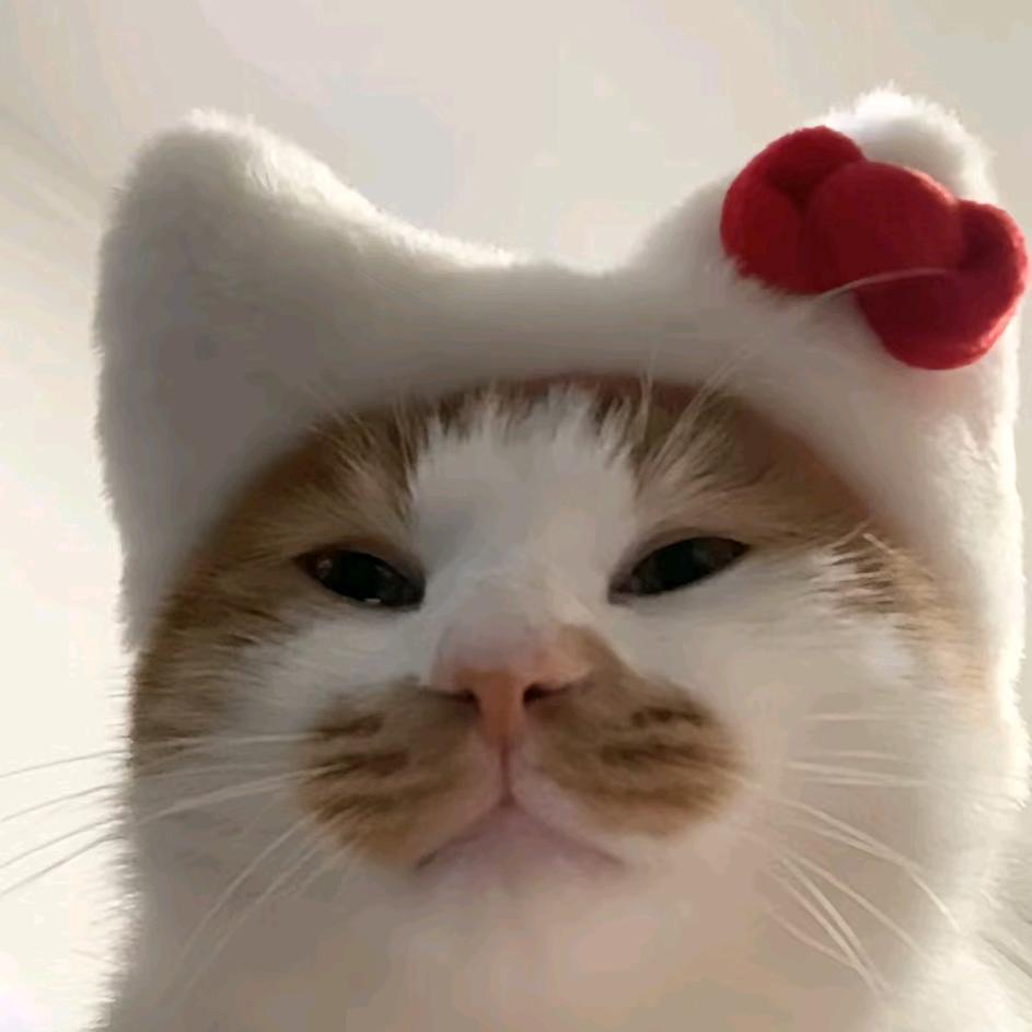 ﹌