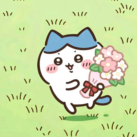 qiu.