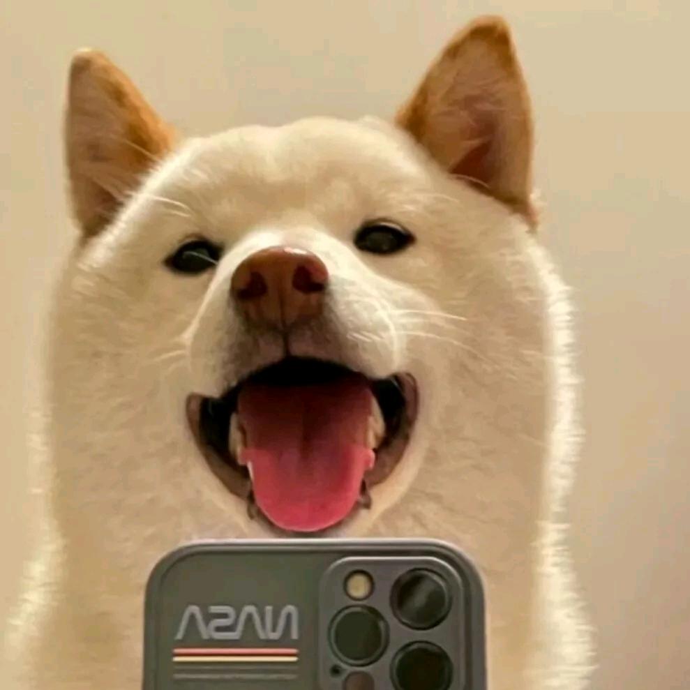 我是谁