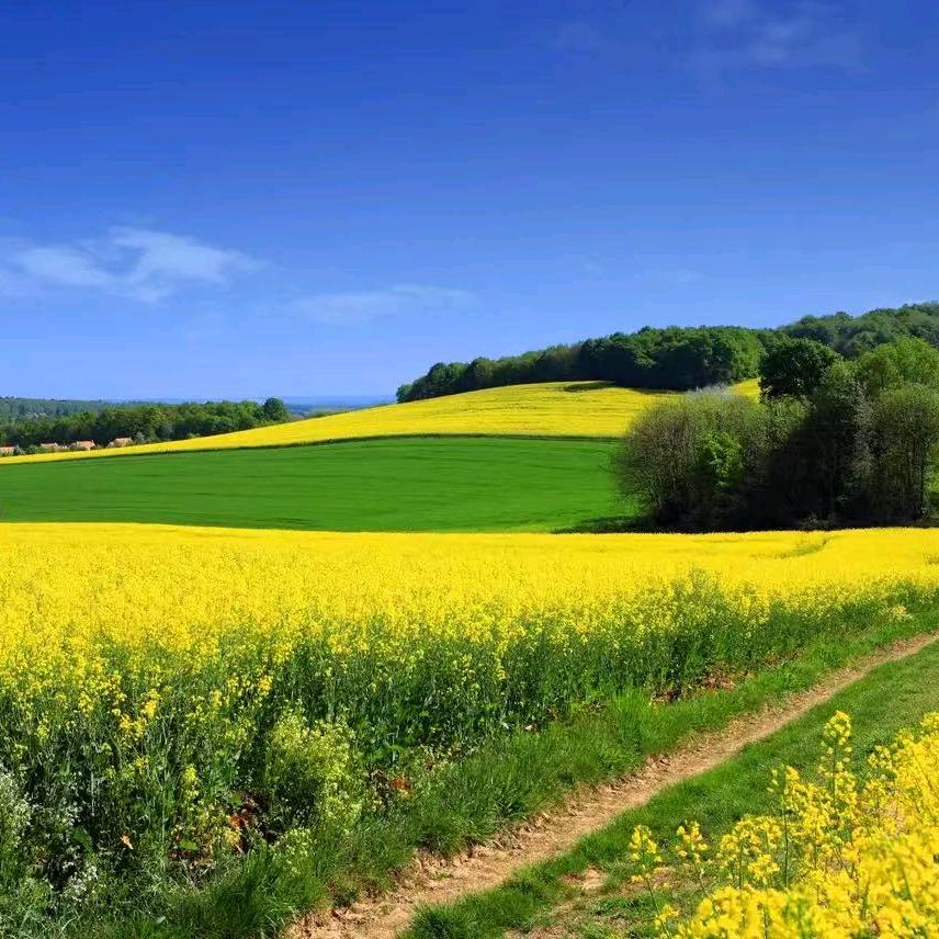 奔跑杨哥¹¹²⁸