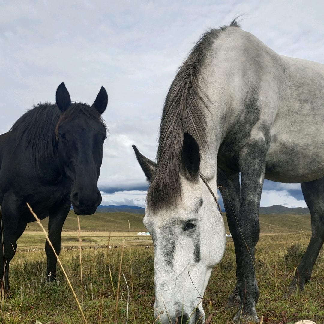 དཀོན࿈ KonChokSamDrup