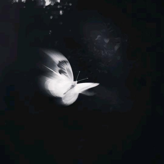 冬夜里.