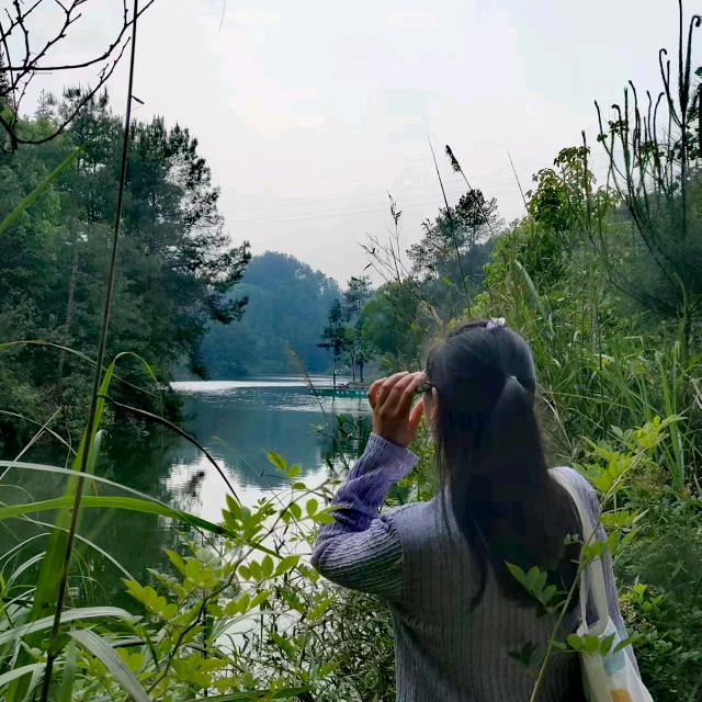 林子