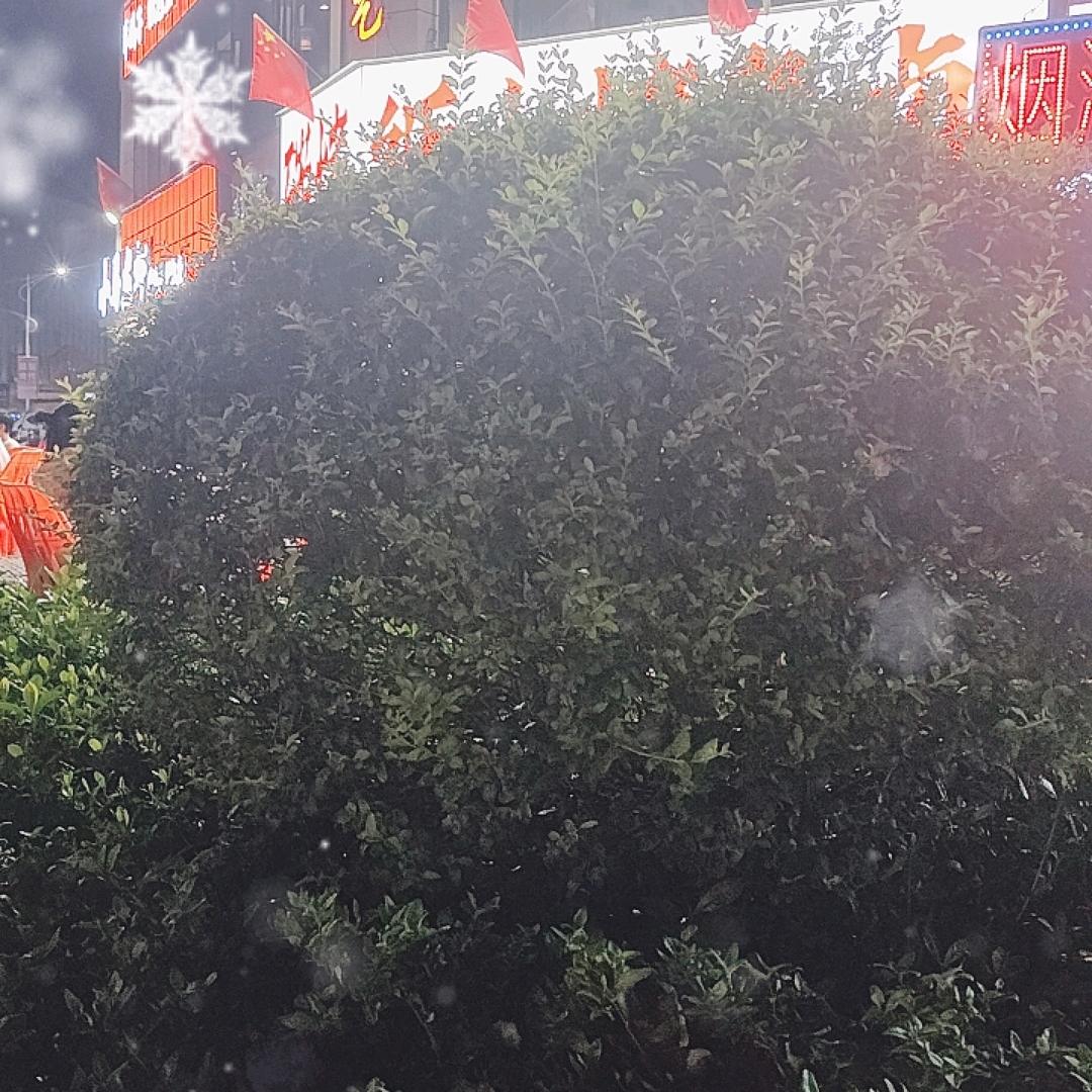 释怀。