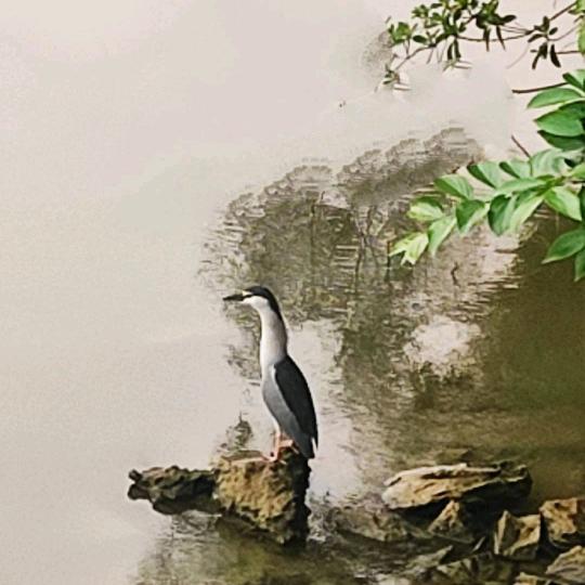 用户6380176809542郭文