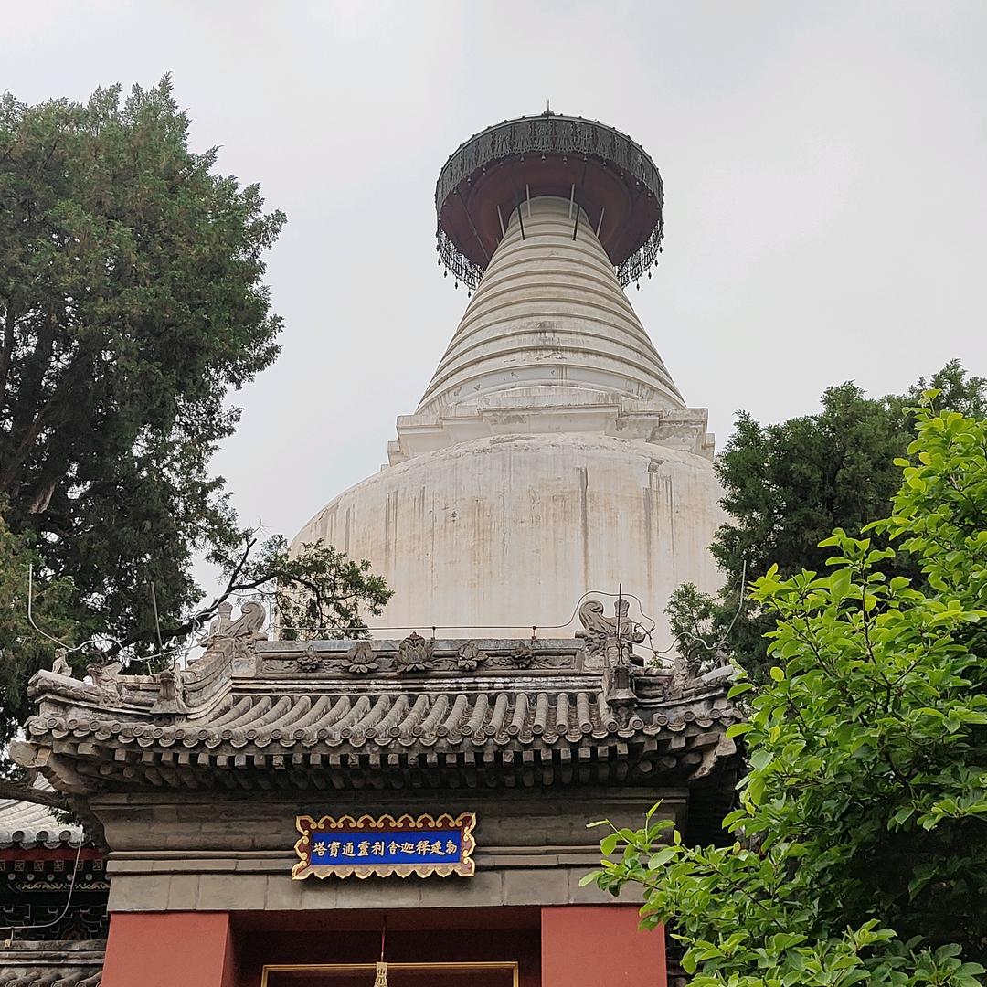 孤身一人闯天下