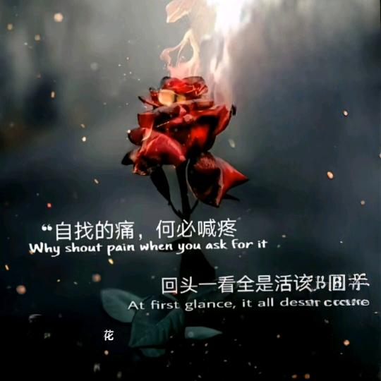 星⭐️的宝贝