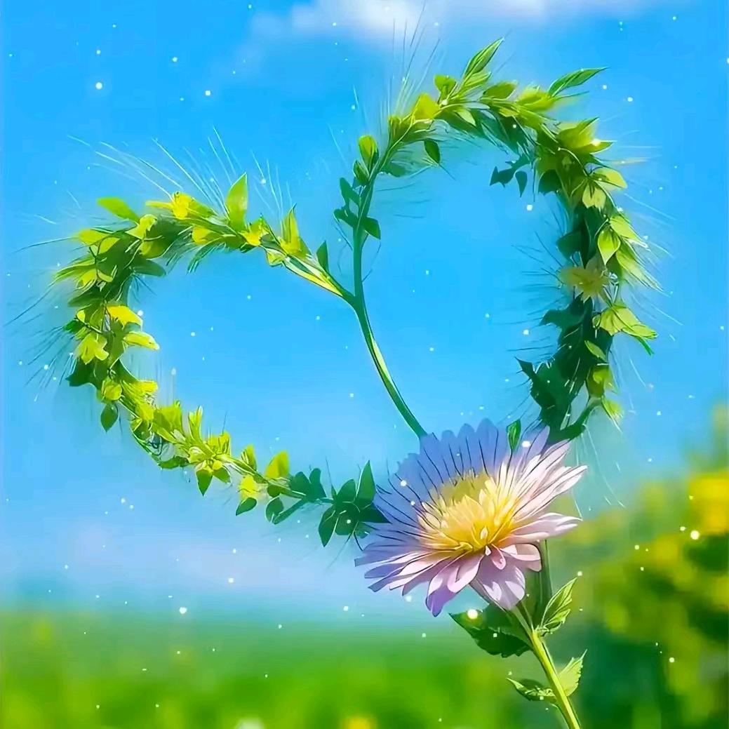꧁Xiong᭄꧂