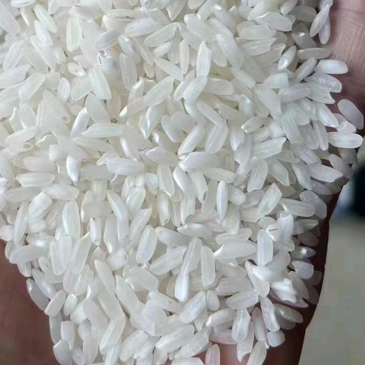 湖南农副产品稻谷贸易米业