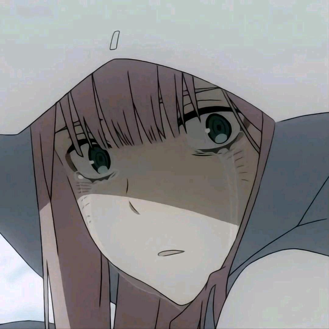 不会游泳的鱼🐟