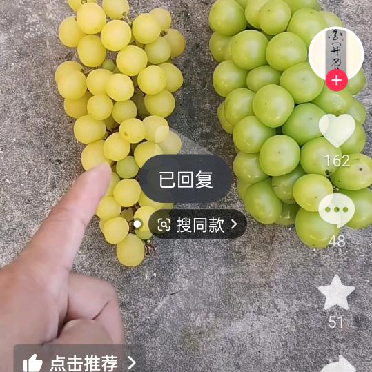 健康是一生财富，A绿色天然无公害大棚葡萄
