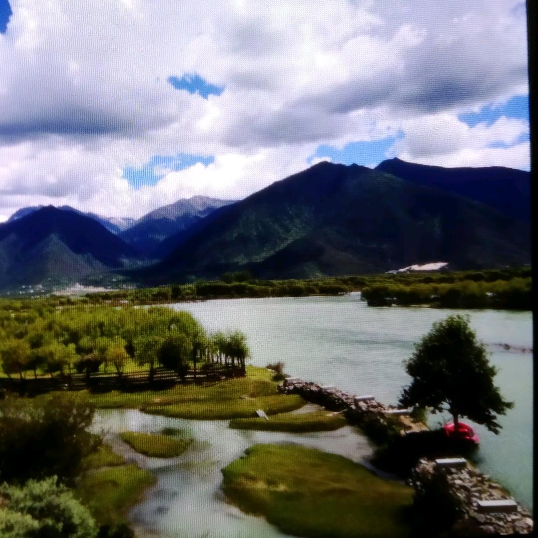 仙游情木阁红木厂阿林