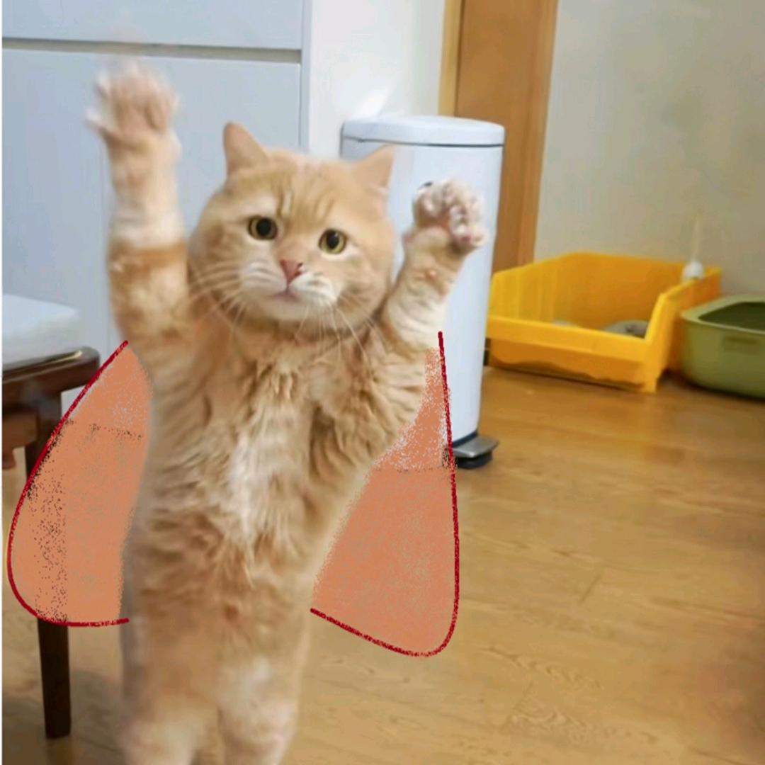 憨憨是只小脑斧