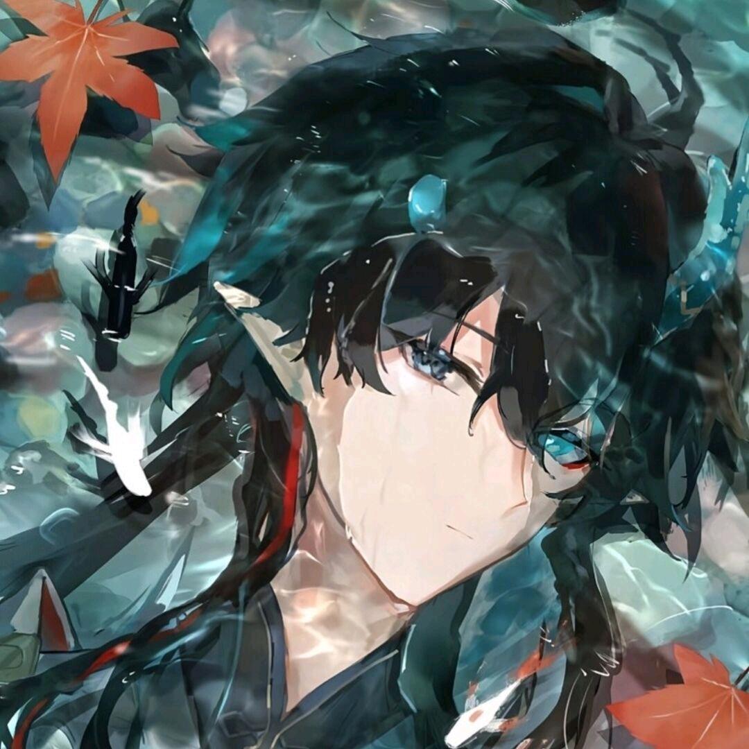 无痕之月