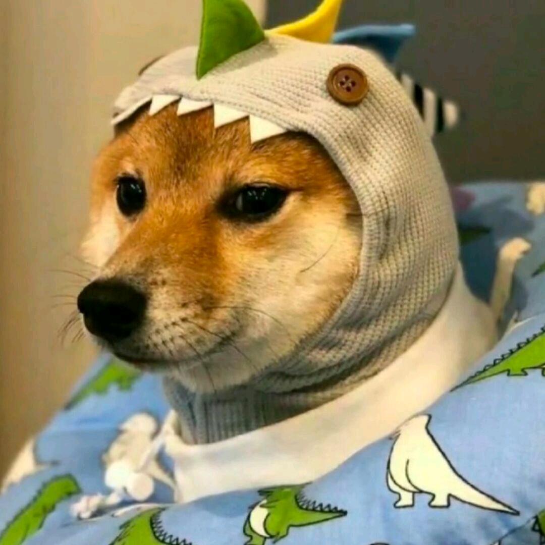 AAA_建材批发王哥