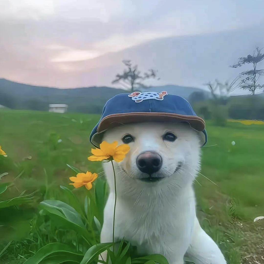 钱多多多多多多