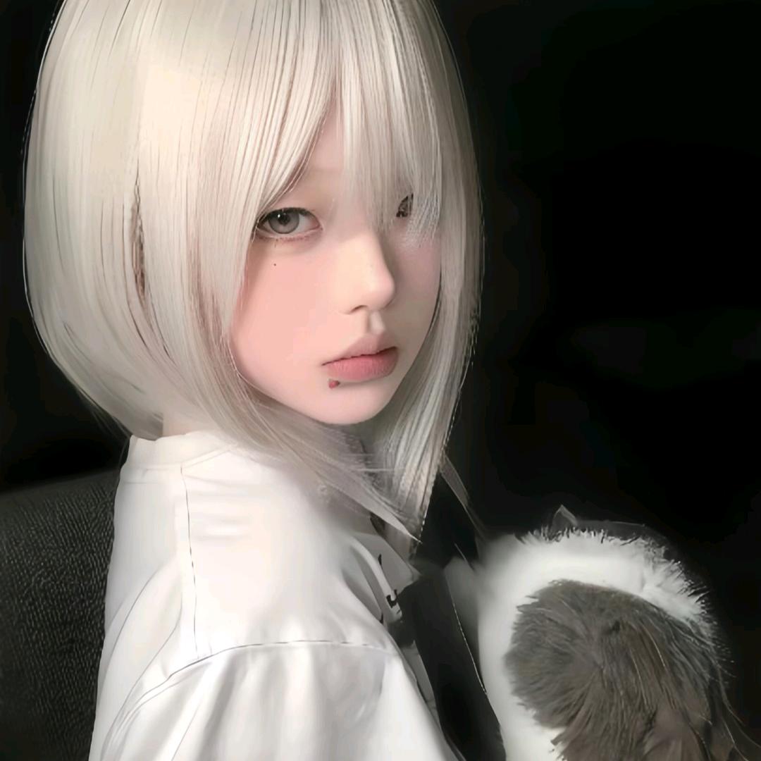 菠萝飞雪