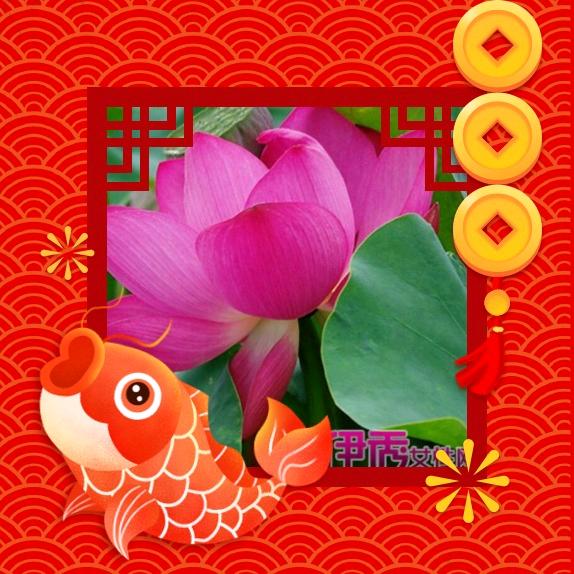 好再来