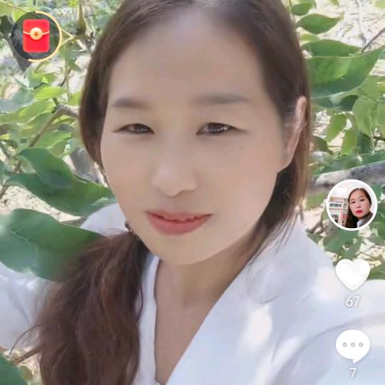 晨路时情