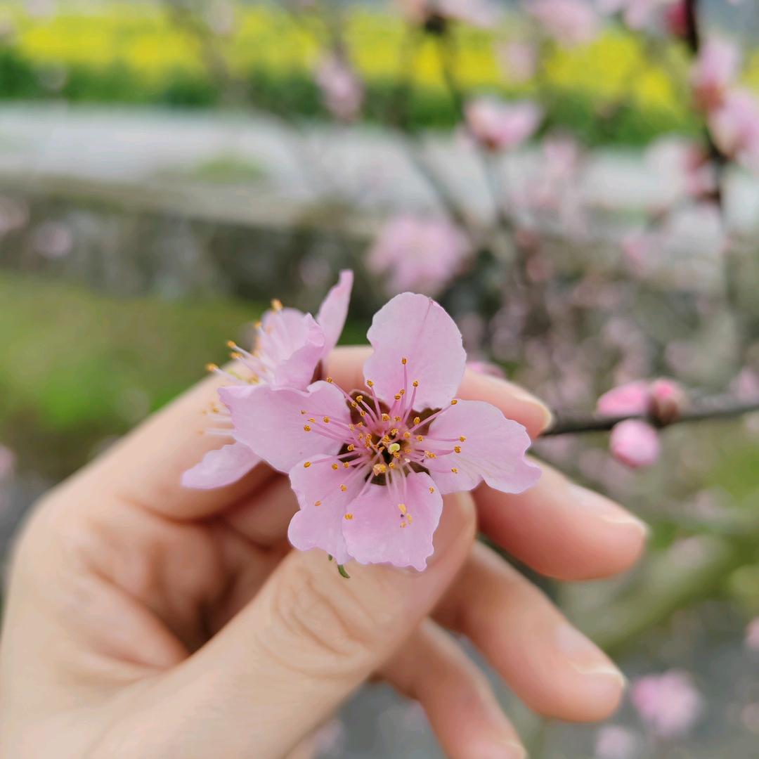 怂一怂没什么大不了
