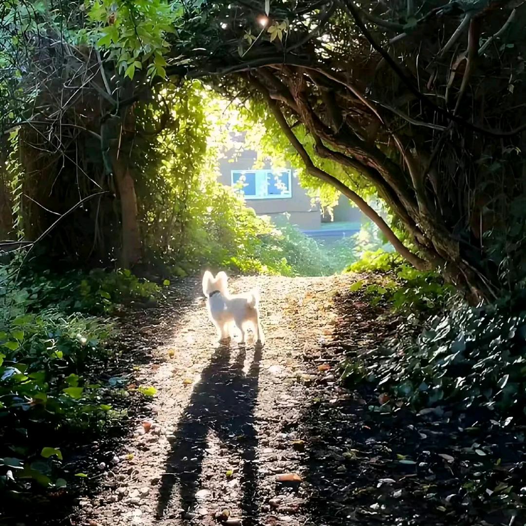 ʚ幸运满格๑ຼ๑