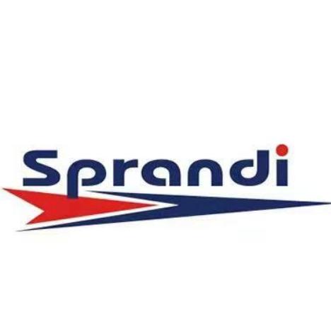 sprandi斯潘迪鞋品企业店