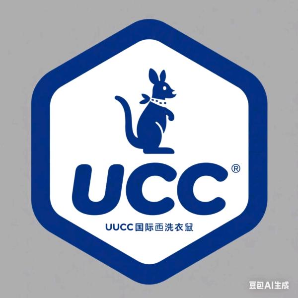 UCC国际洗衣海河路店