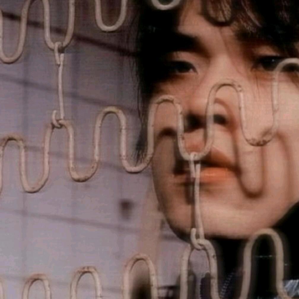 枫