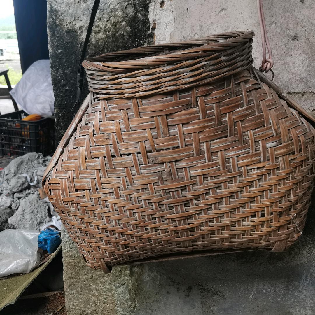 如名此意。得高望月，