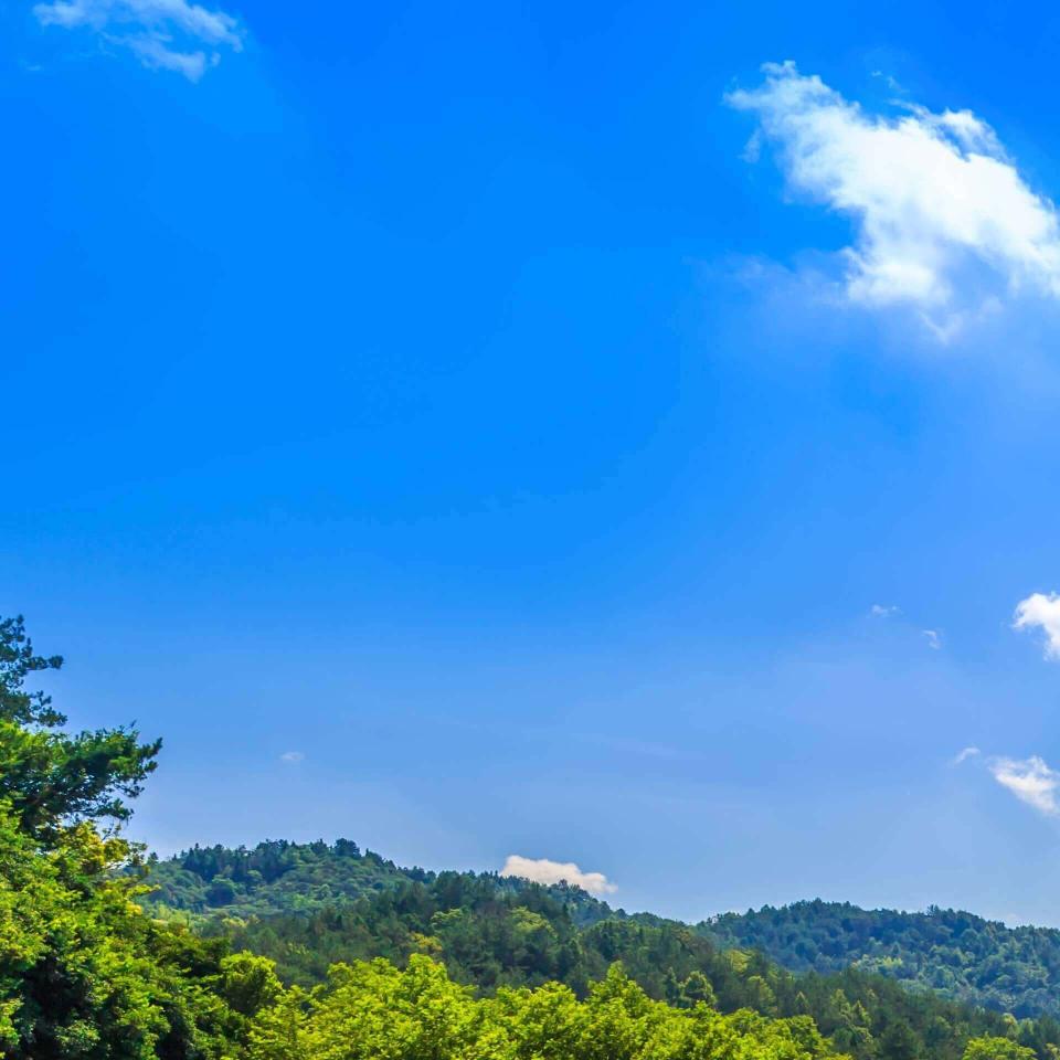 。熊贤添大哥谢谢！