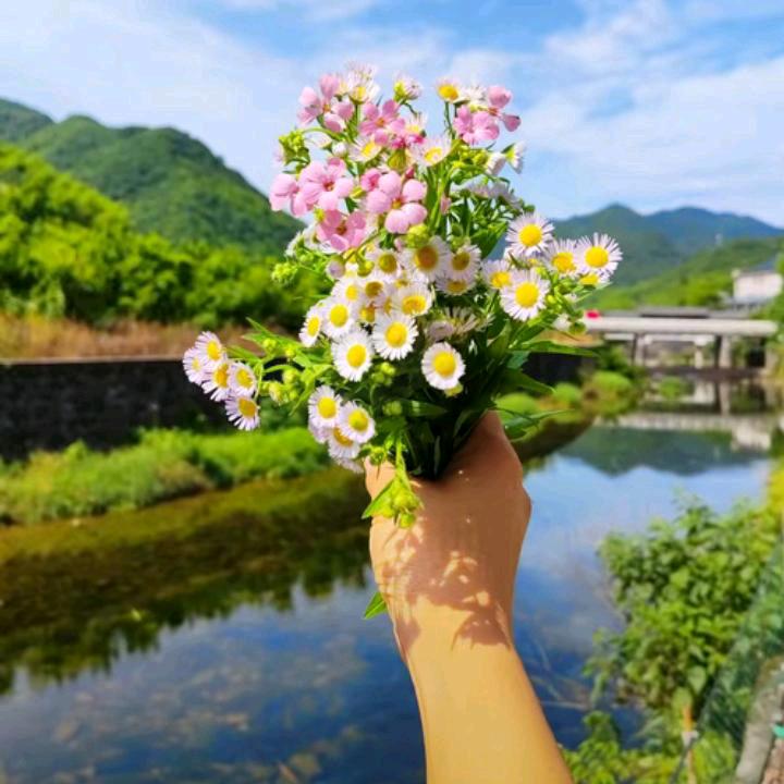 田园乐乐