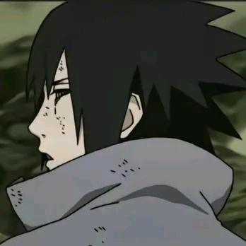 智子鸽（三角洲行动）